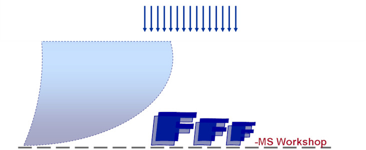 Logo FFF WS